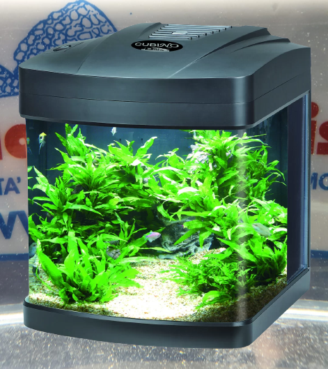 ACQUARIO CUBINO LED NERO 26 LITRI