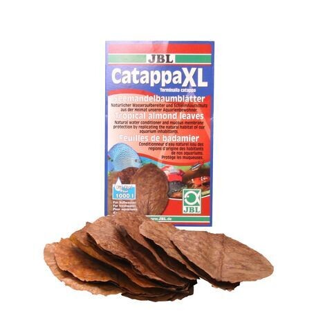Catappa XL - 10 pz x 1.000 l