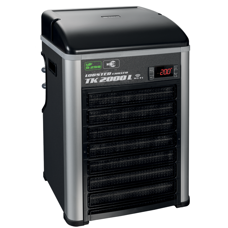 REFIGERATORE TECO TK2000 LOBSTER