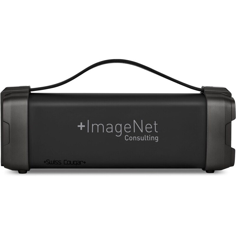 Swiss Cougar Chicago Bluetooth Speaker &amp; FM Radio