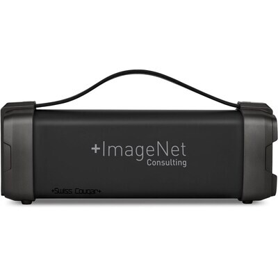 Swiss Cougar Chicago Bluetooth Speaker &amp; FM Radio