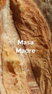 Masa madre 