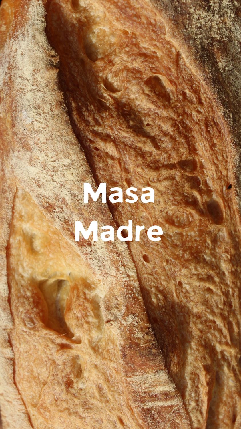Baguette masa madre
