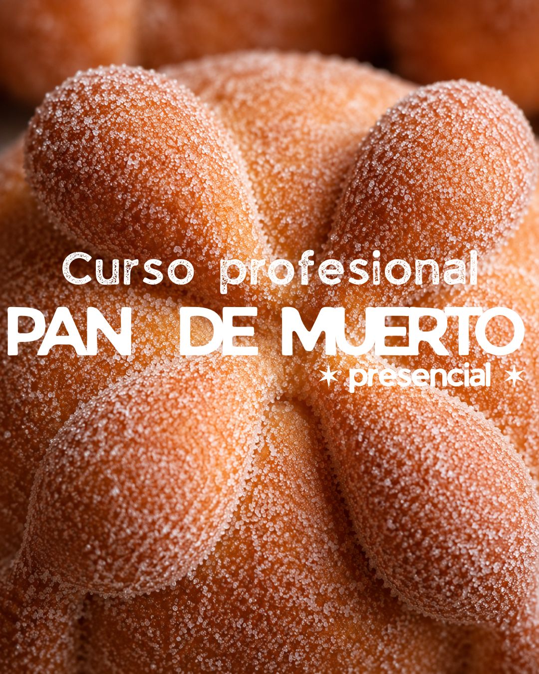 Curso pan de muerto