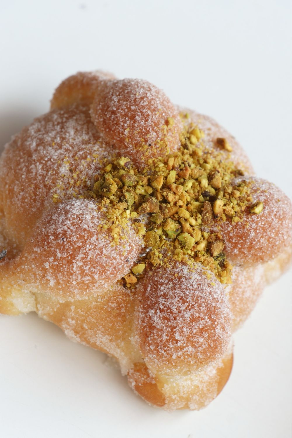 Pan de muerto praliné pistache