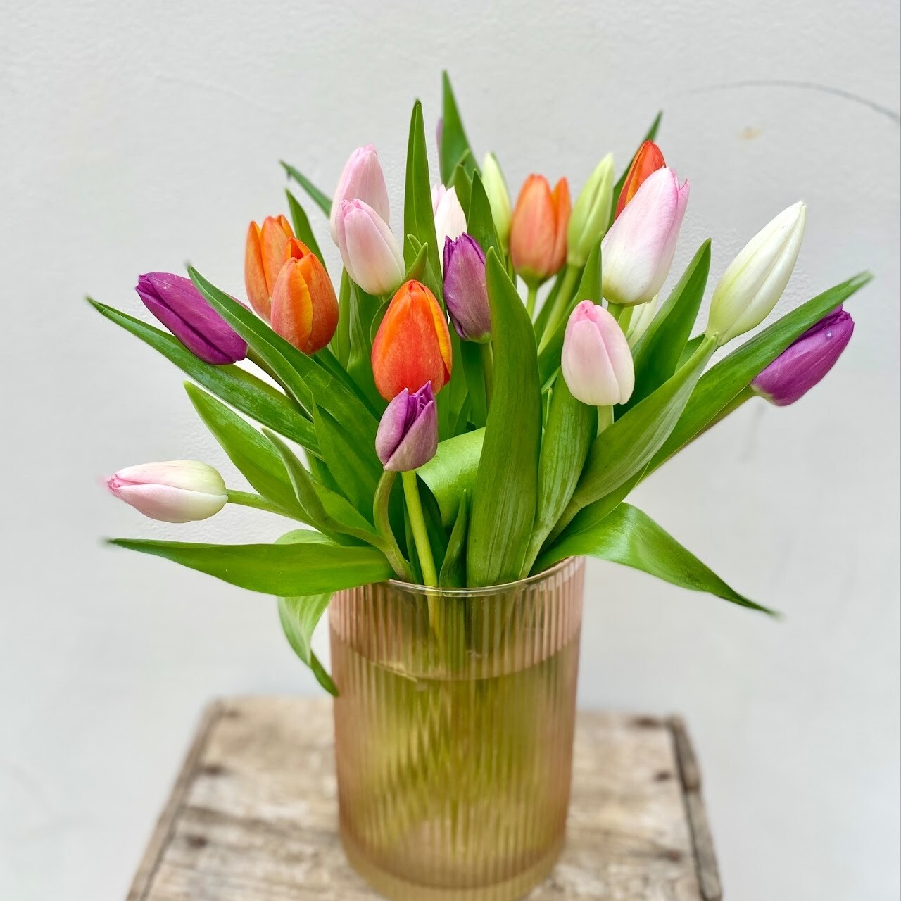 Tantalizing Tulips