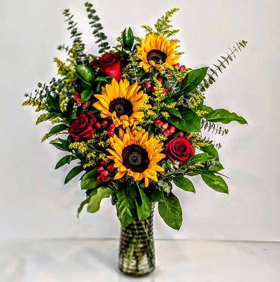 Sunflower - Rose Splendor