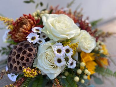 Fall/Halloween/Dia de Los Muertos