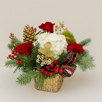 Christmas Classic Cube