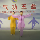 4th BRICS Gen-Z Health Qigong Talent Camp: Kickstart Your Kung Fu Journey!