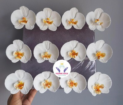 Sugar Orchid