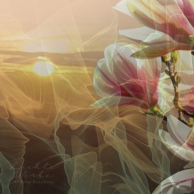 Mosel Magnolie