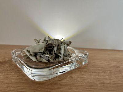 Weißer Salbei - Räucherwerk im 10g Tütchen