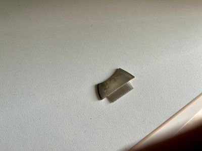 Edelstahlbürstchen für Räuchersiebe