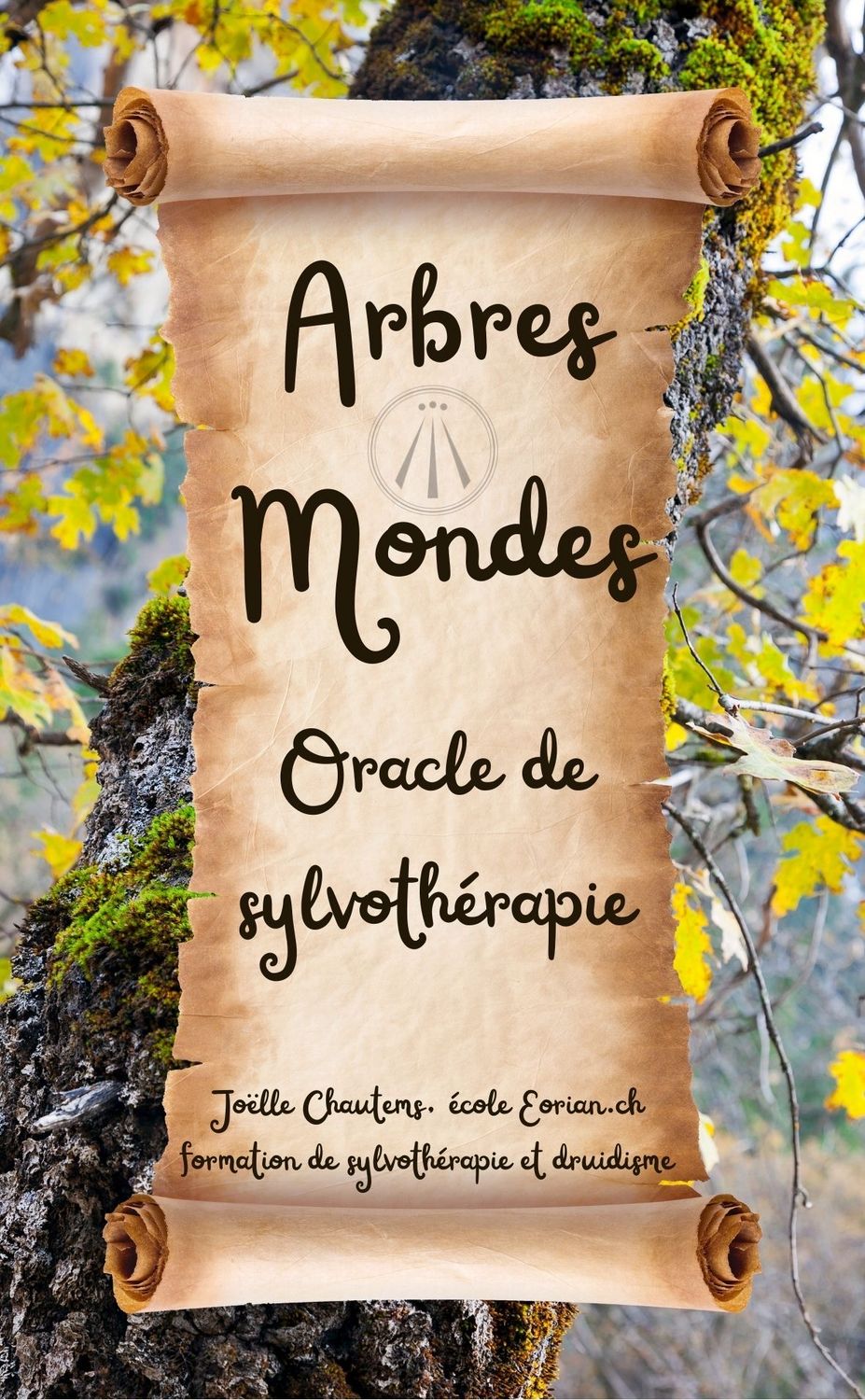 Oracle de sylvotherapie 96 cartes avec pochette (livré fin mai)
