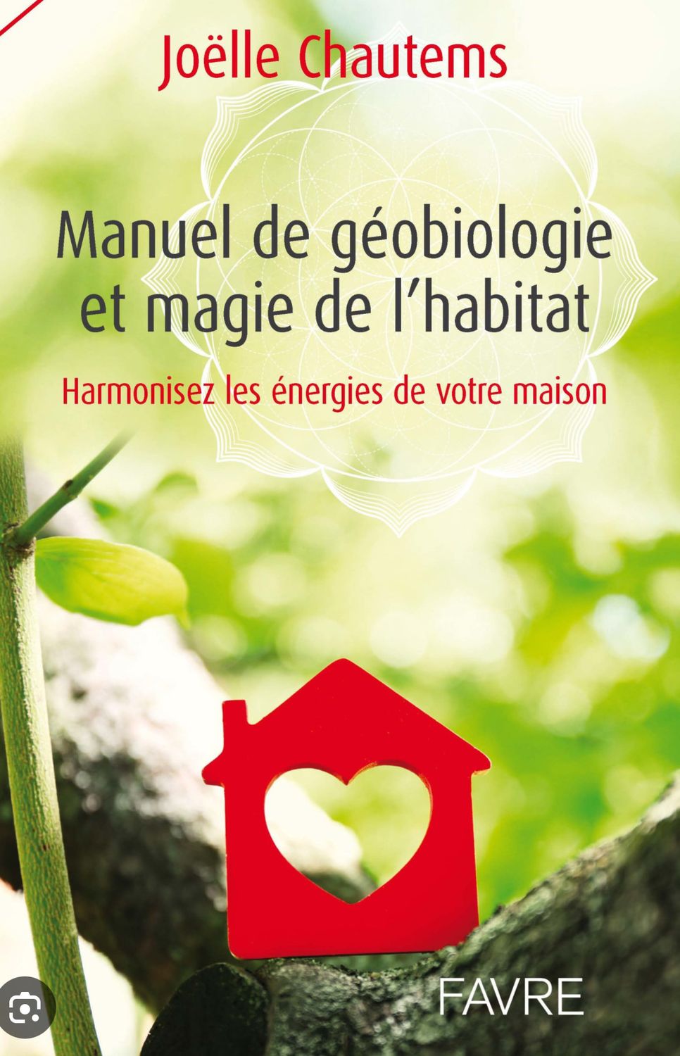 Manuel de Geobiologie et magie de l’habitat
