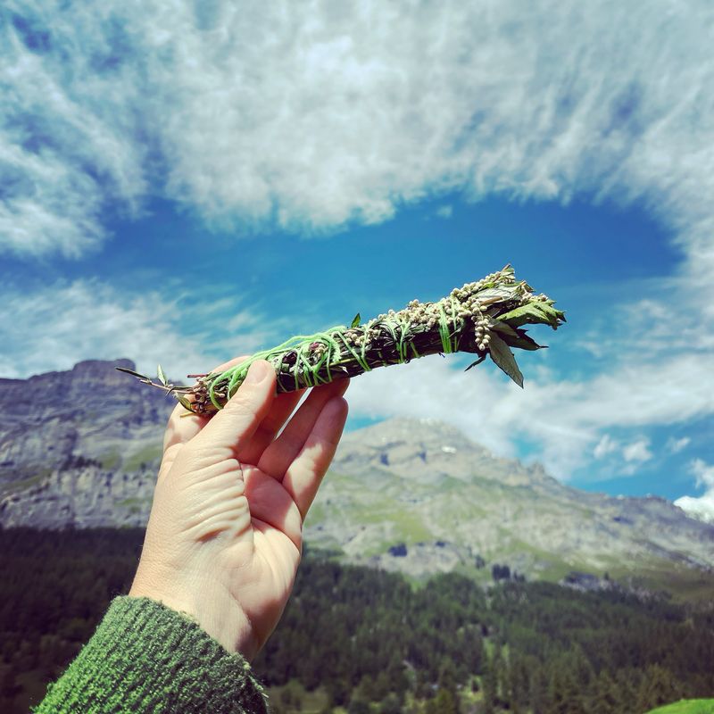 Plantes suisses de purification de lieux