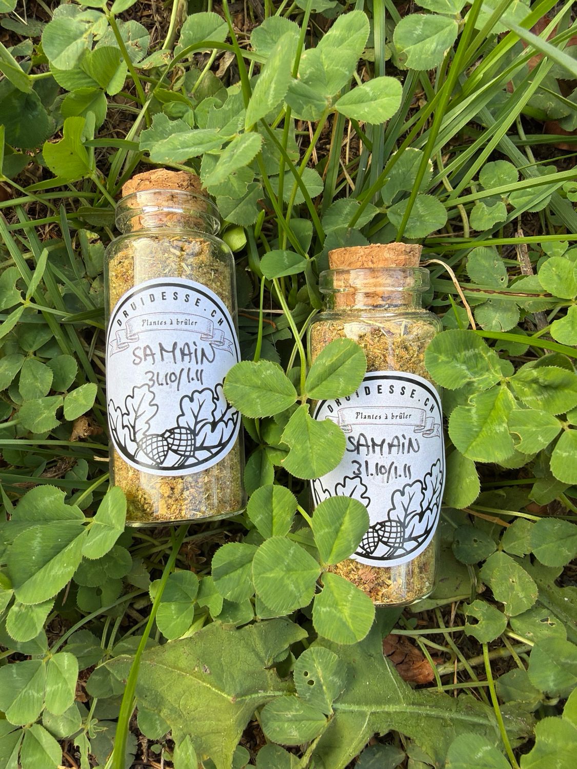 Mélange de plantes suisses à brûler « samain »