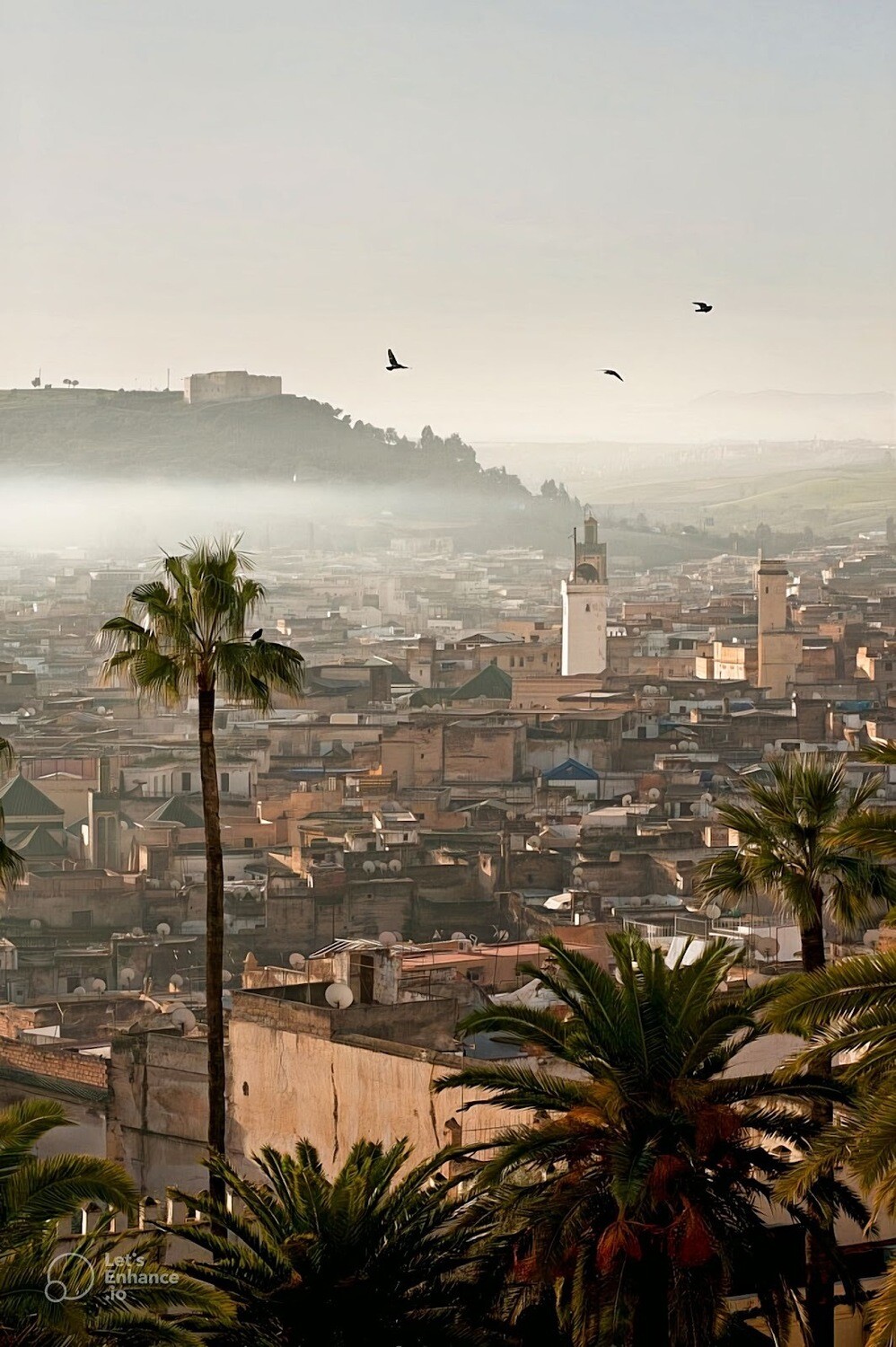 A HALF DAY TOUR Guided TO THE RAMPARTS OF FEZ CITY
with a private car and driver.