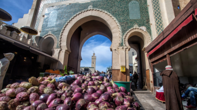VIP Luxury Couples Tour of Fez ( Guide, Driver, Lunch)