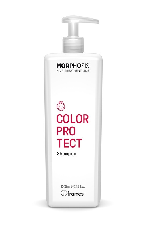 MORPHOSIS COLOR PROTECT SHAMPOO 1000ML