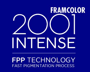 NUANCIER FRAMCOLOR 2001 INTENSE