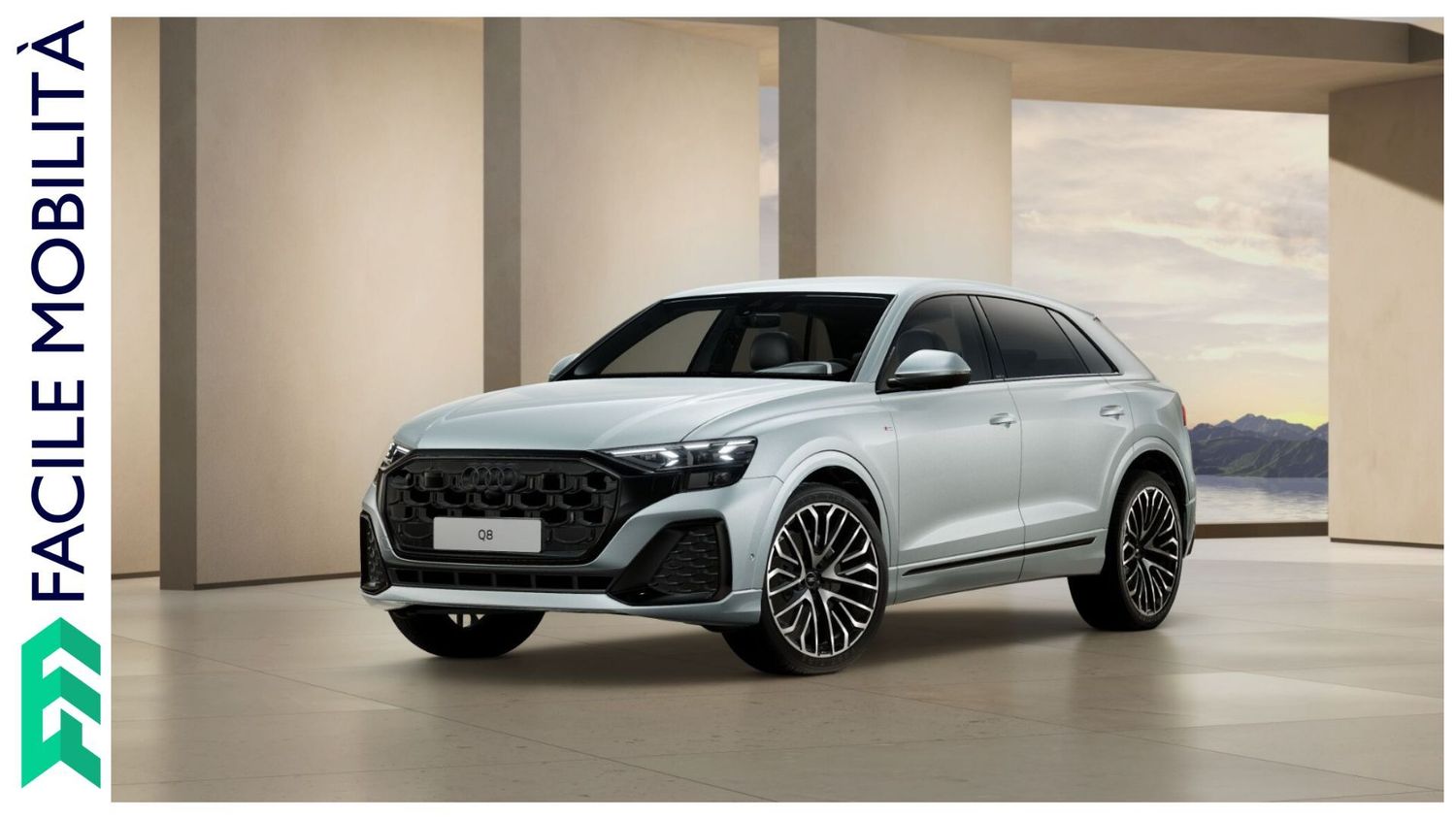 AUDI Q8 TDI 210kW quattro tip. S Line Edition