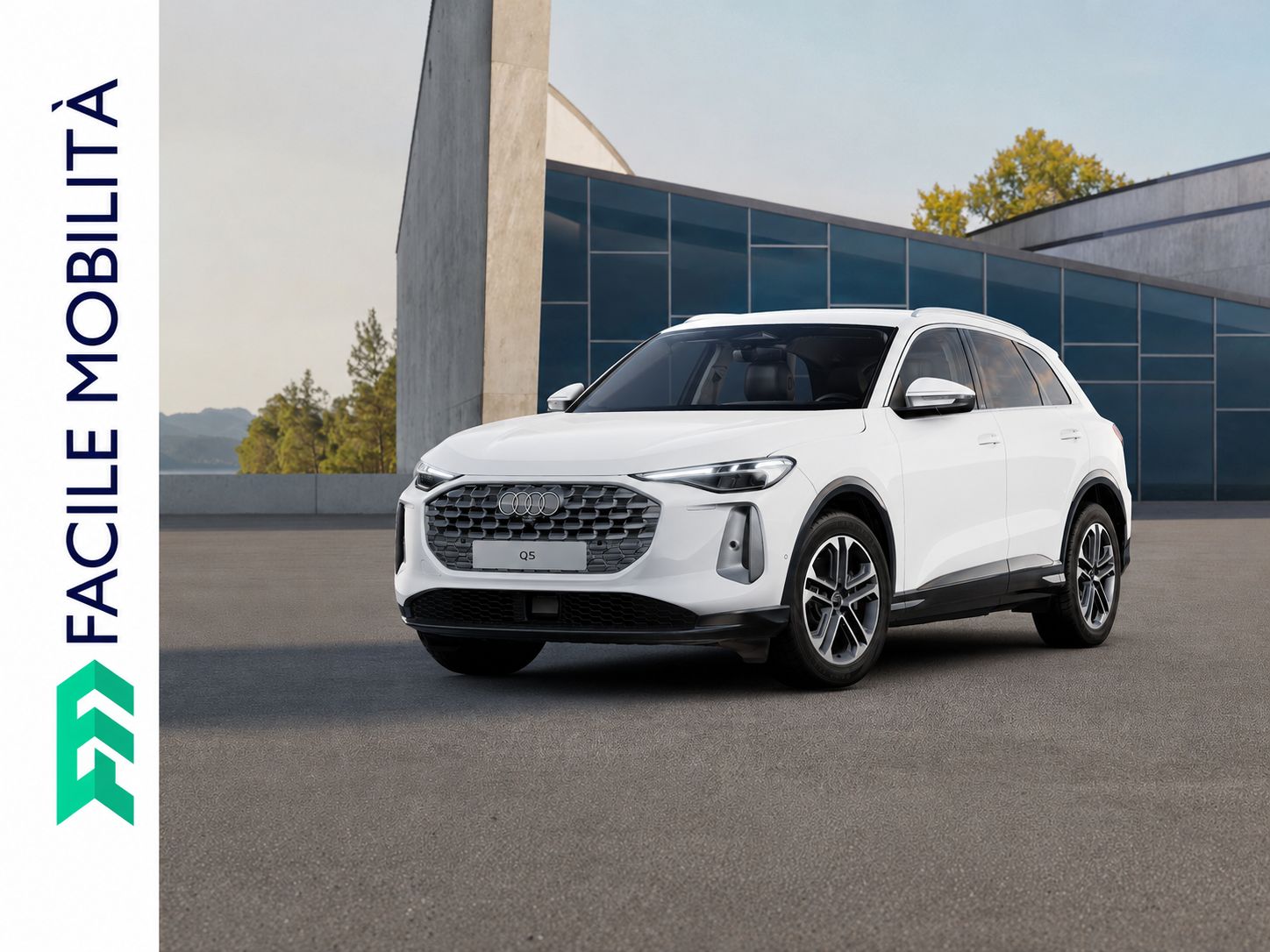 AUDI Q5 TDI 150kW quattro S tronic Business Adv. AUDI Q5 TDI 150kW quattro S tronic Business Adv.