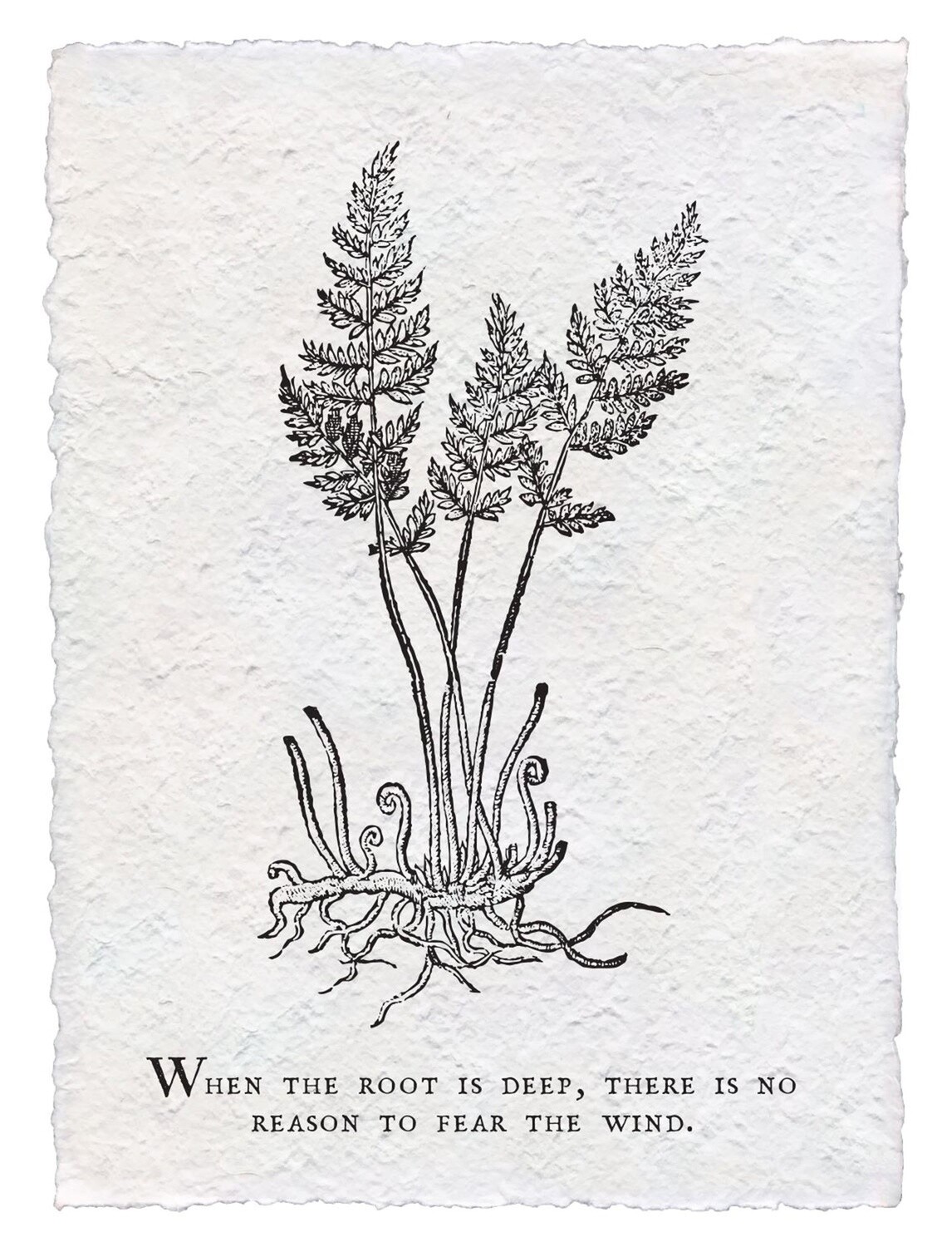 WHEN THE ROOT IS DEEP
