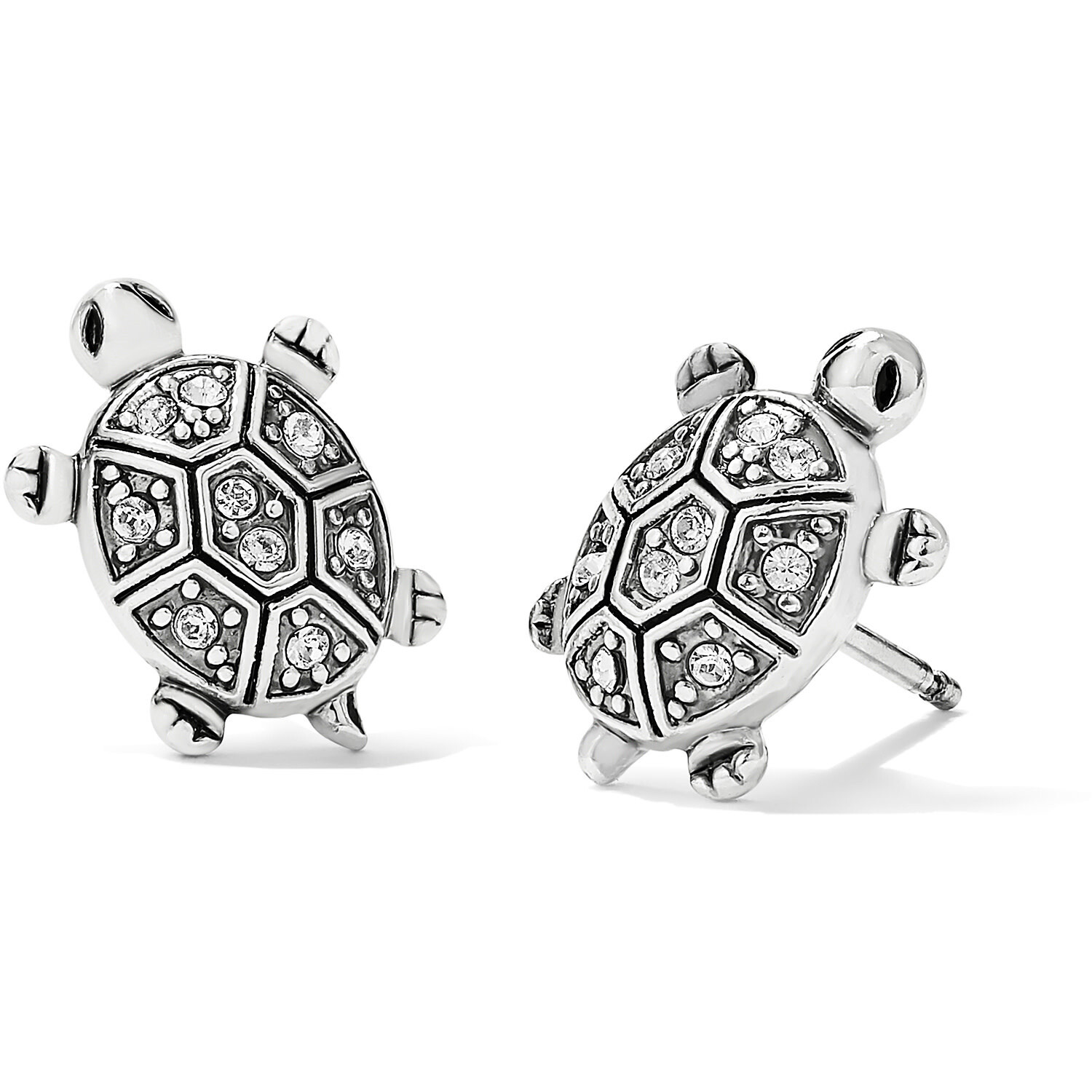 Fortune Turtles Mini Post Earrings Silver