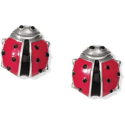 Spring Ladybug Mini Post