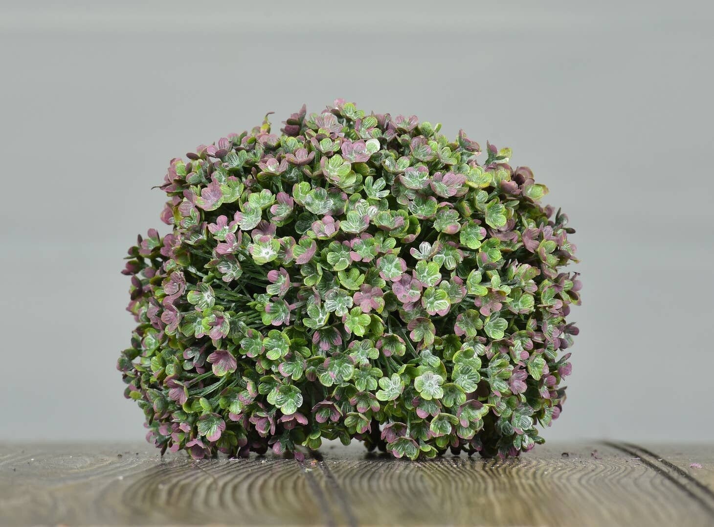 PINK GRASS ORBE