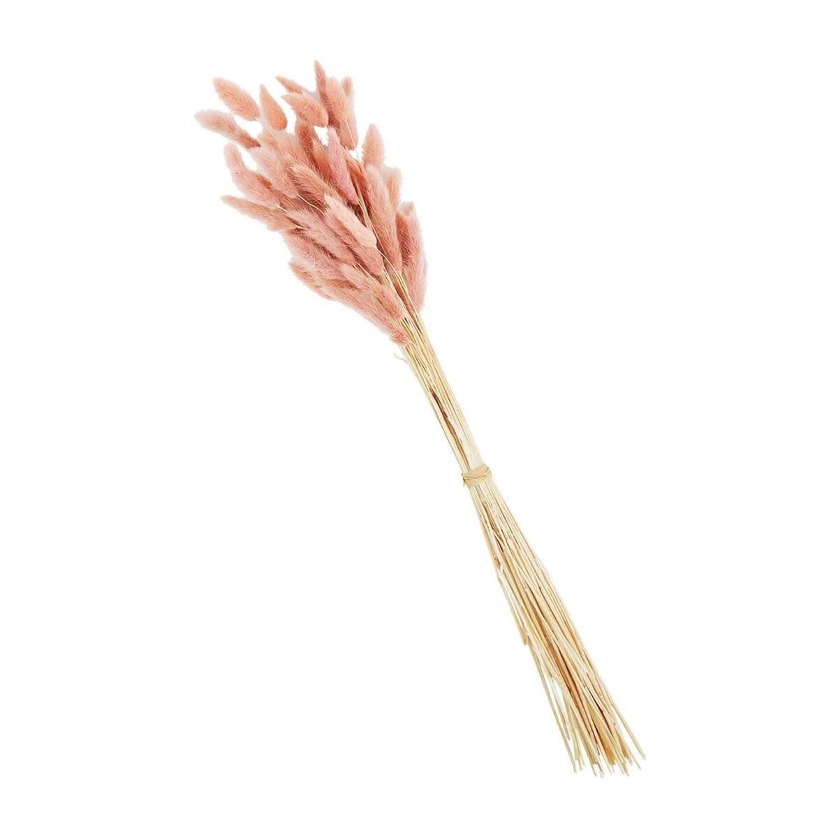 PINK PRESERVED BUNNYTAIL STEM