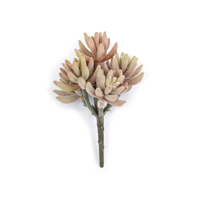 PINK &amp; ORANGE FLOCKING SUCCULENT