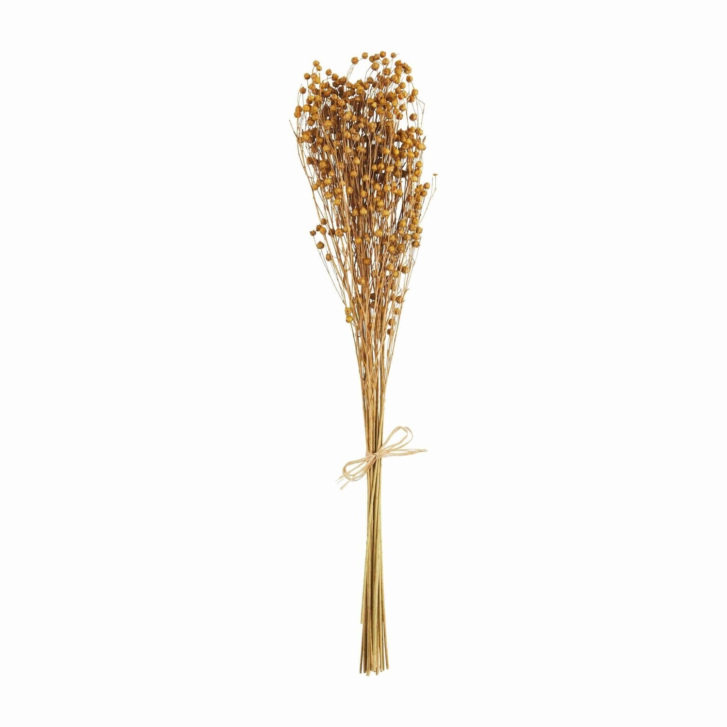 GOLD FLAX BUNDLE