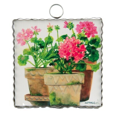 Pots of Geraniums Mini Gallery