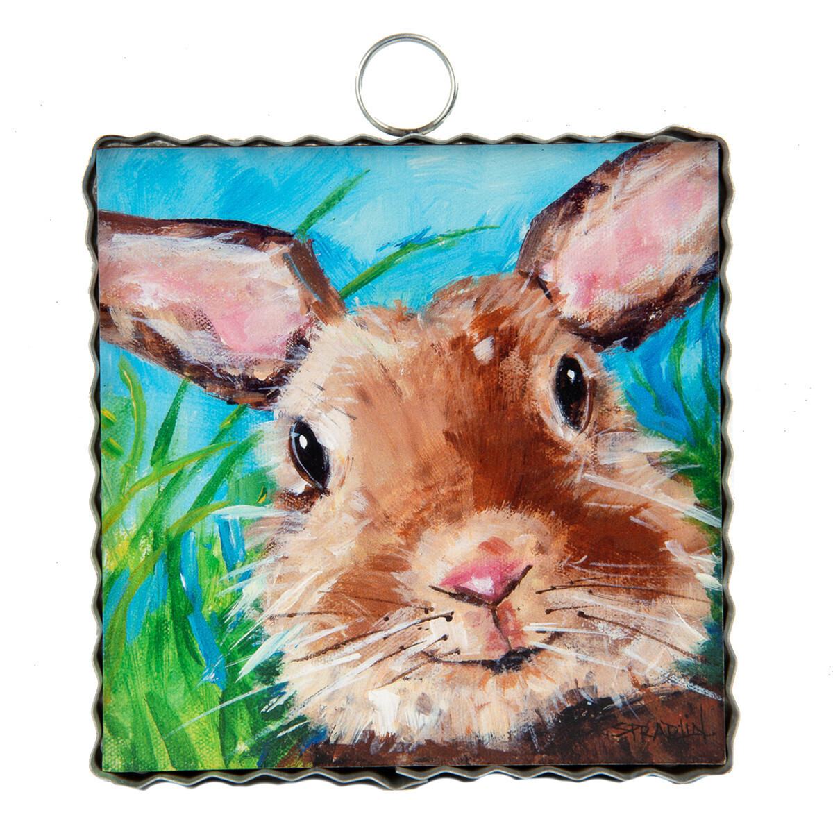 BUNNY CLOSE UP MINI GALLERY
