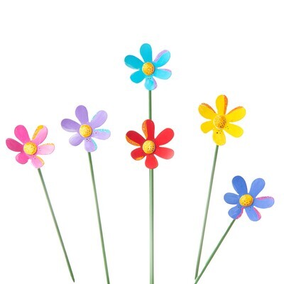 COLORFUL DAISIES SET OF 6