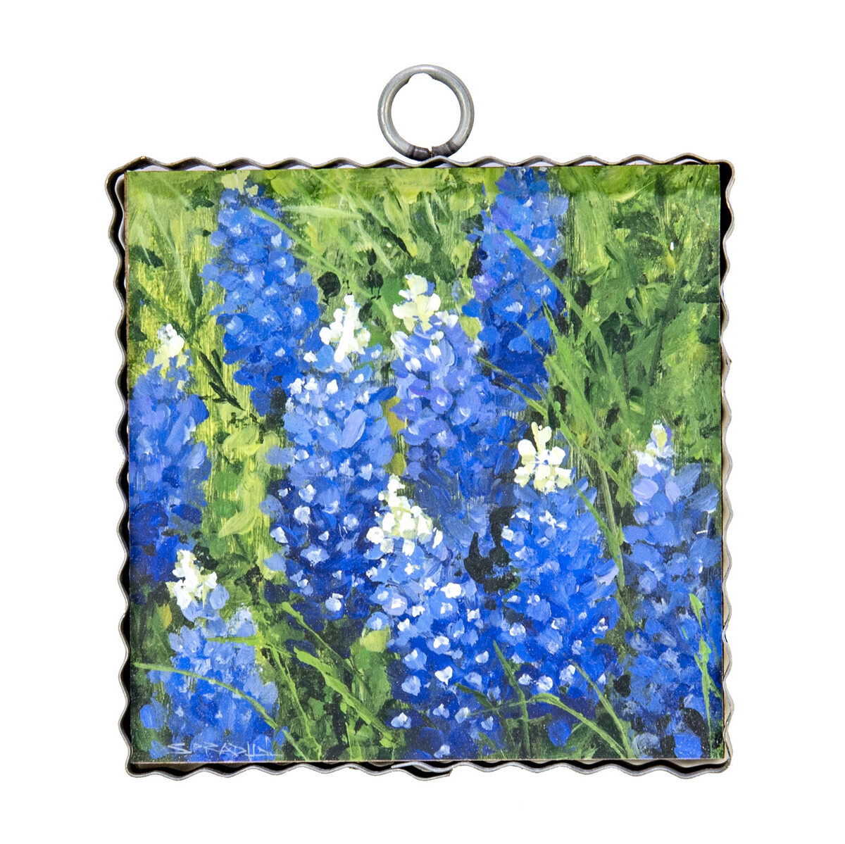 Bluebonnets Mini Gallery