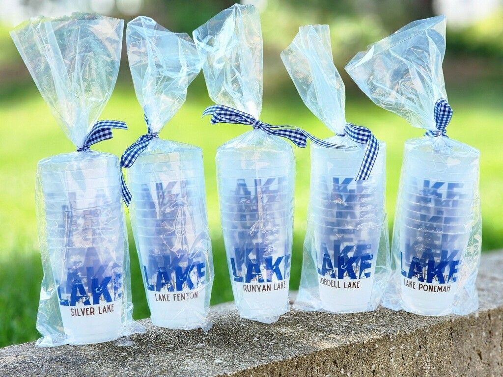 LAKE SHATTERPROOF 16oz CUPS SET/10, Size: LAKE FENTON