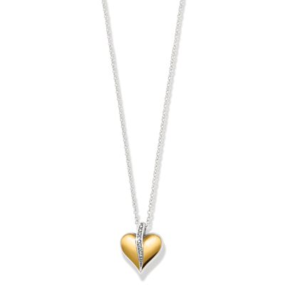 Precious Heart 2Tone Petite Necklace