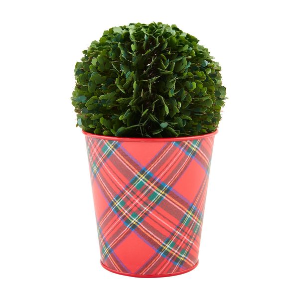LARGE BOXWOOD TARTAN POT