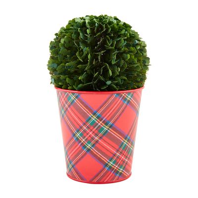 LARGE BOXWOOD TARTAN POT