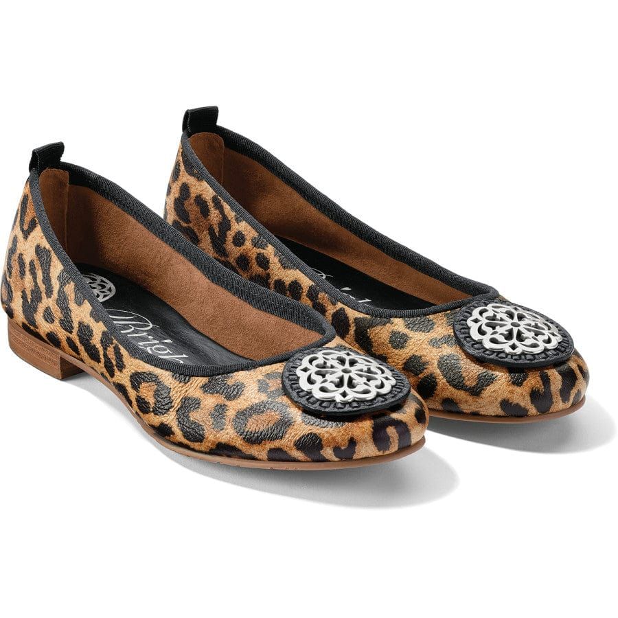 Aleta-Leopard