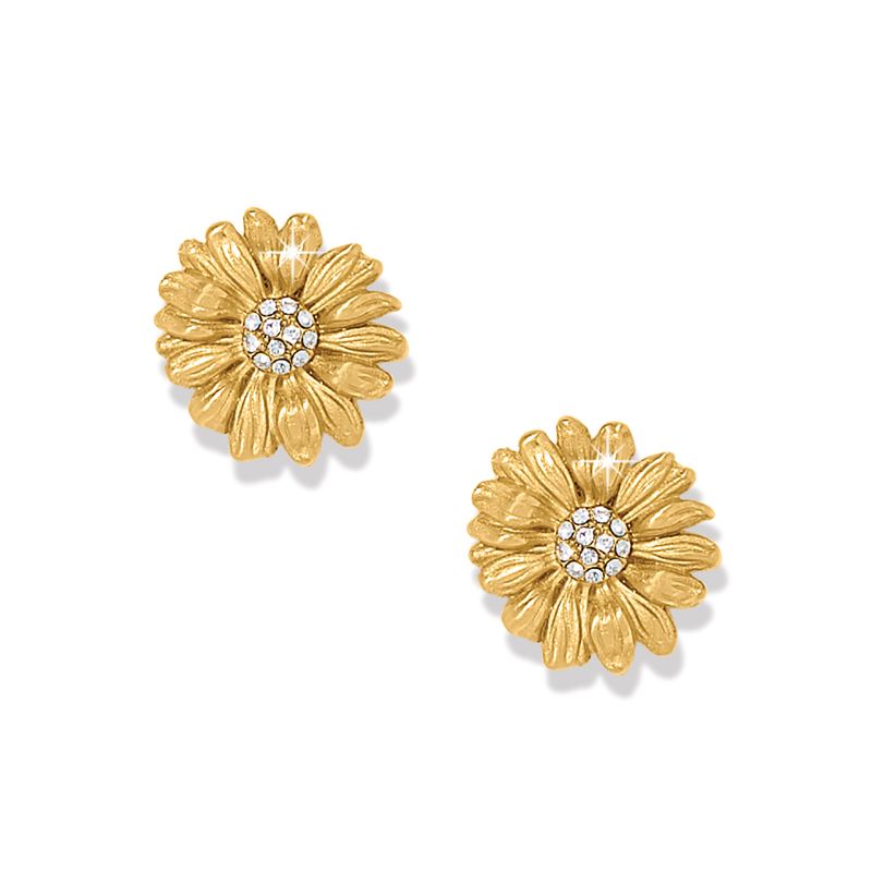 Daisy Dee Post Earrings-Gold