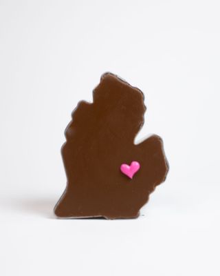 Michigan Cookie Cutter