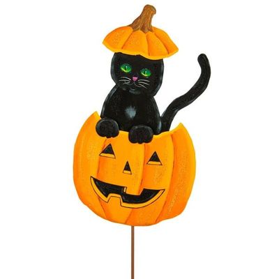 Cat in a Jack O Lantern