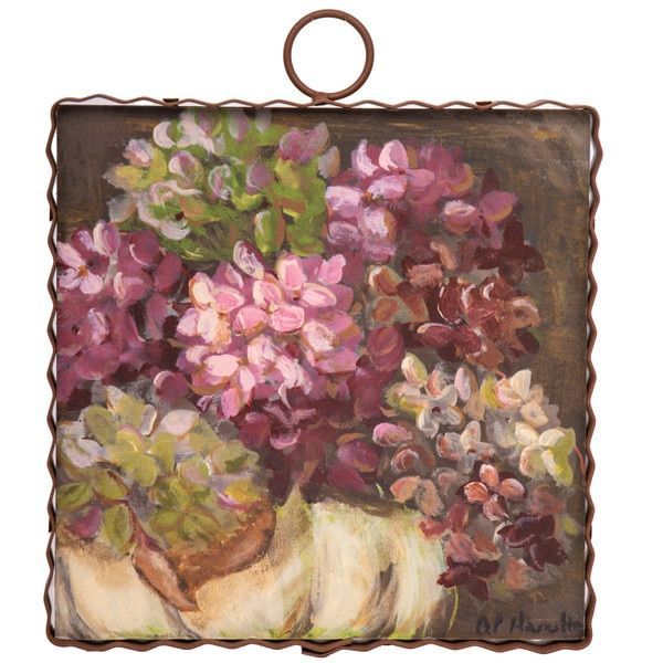 Mini Hamilton Hydrangeas