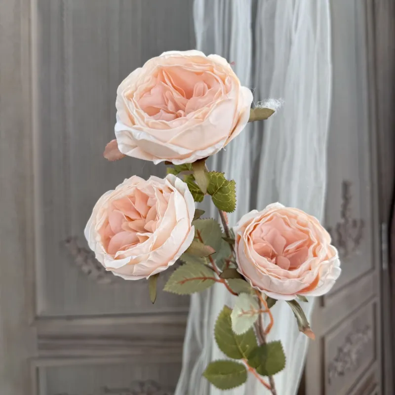 27&#39;&#39; Champagne Faux Dried Look Silk Austin Rose Autumn Flower Stem