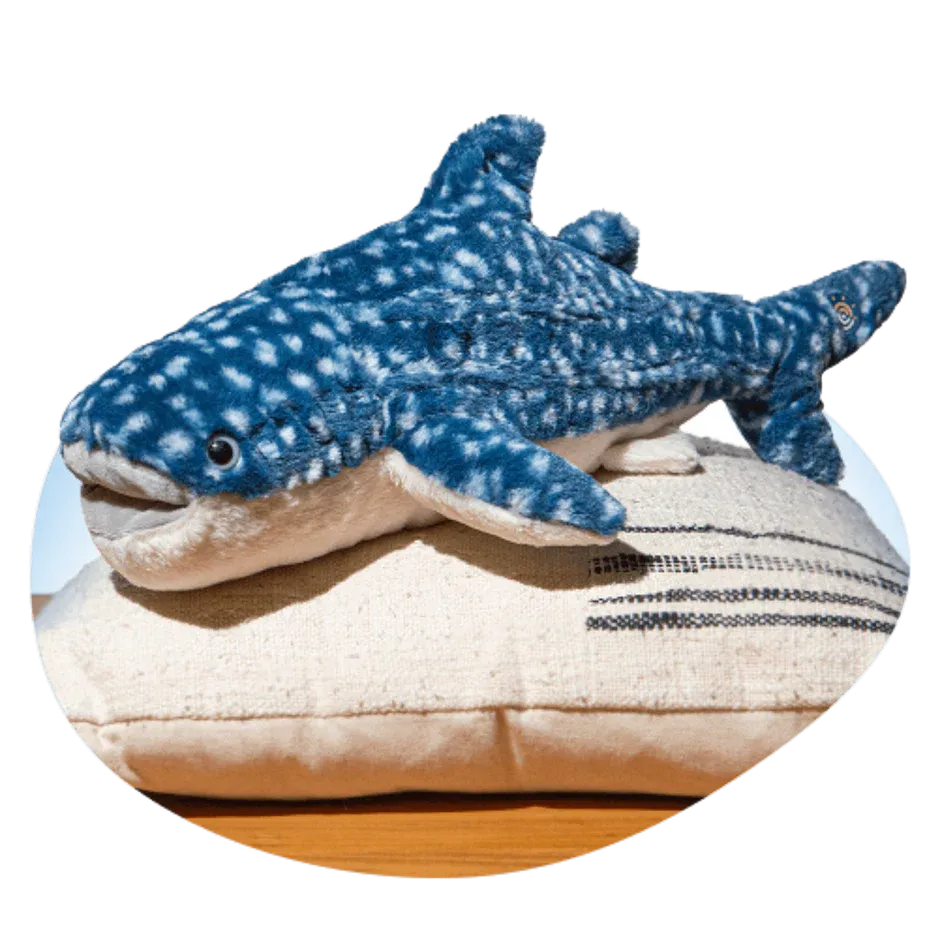 The Quest Plush - Whale Shark
